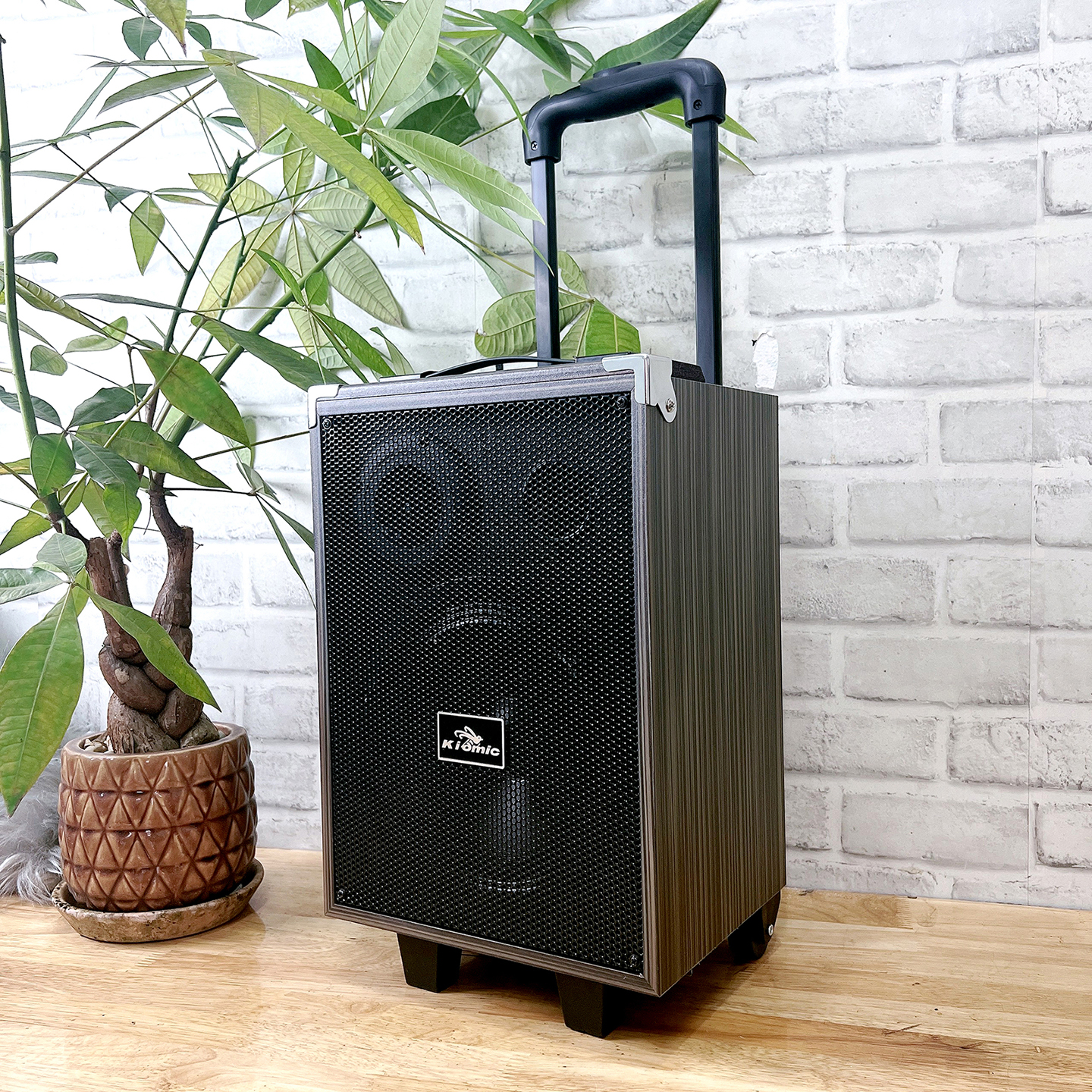 Loa kéo Kiomic Bluetooth Q8 Pro Tặng Mic không dây