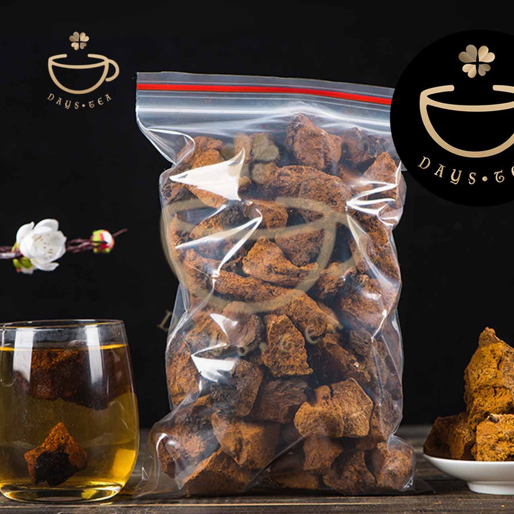 NẤM CHAGA 100G
