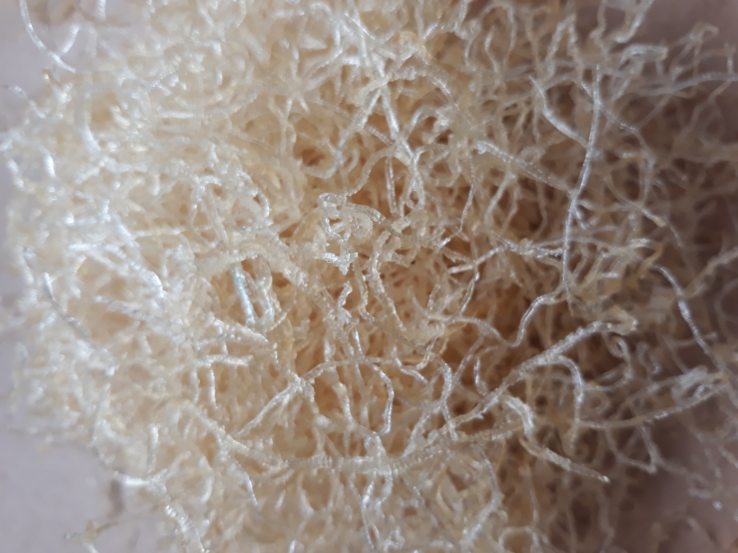 [HCM]BÌ SẤY KHÔ 300g