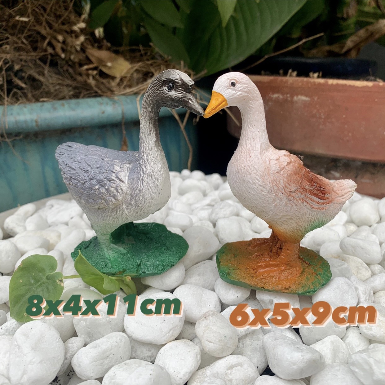 [HCM]Vịt Cái Máu Trắng Trang Trí Hồ Cá Sân Vườn...