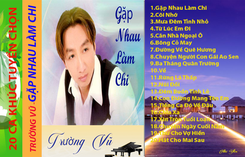 Băng cassette trường vũ