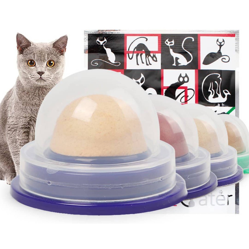 Kẹo Catnip Dán Tường Cho Mèo