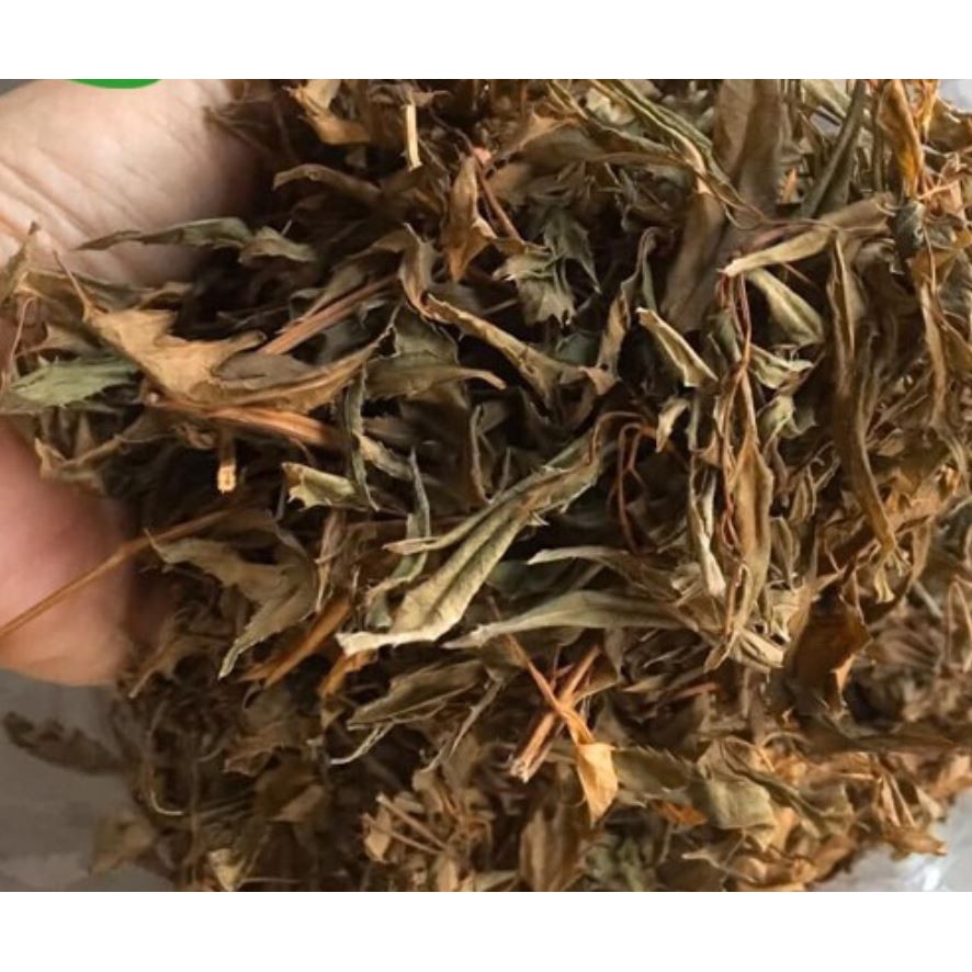 Lá đinh lăng khô (làm gối không cành) 500g