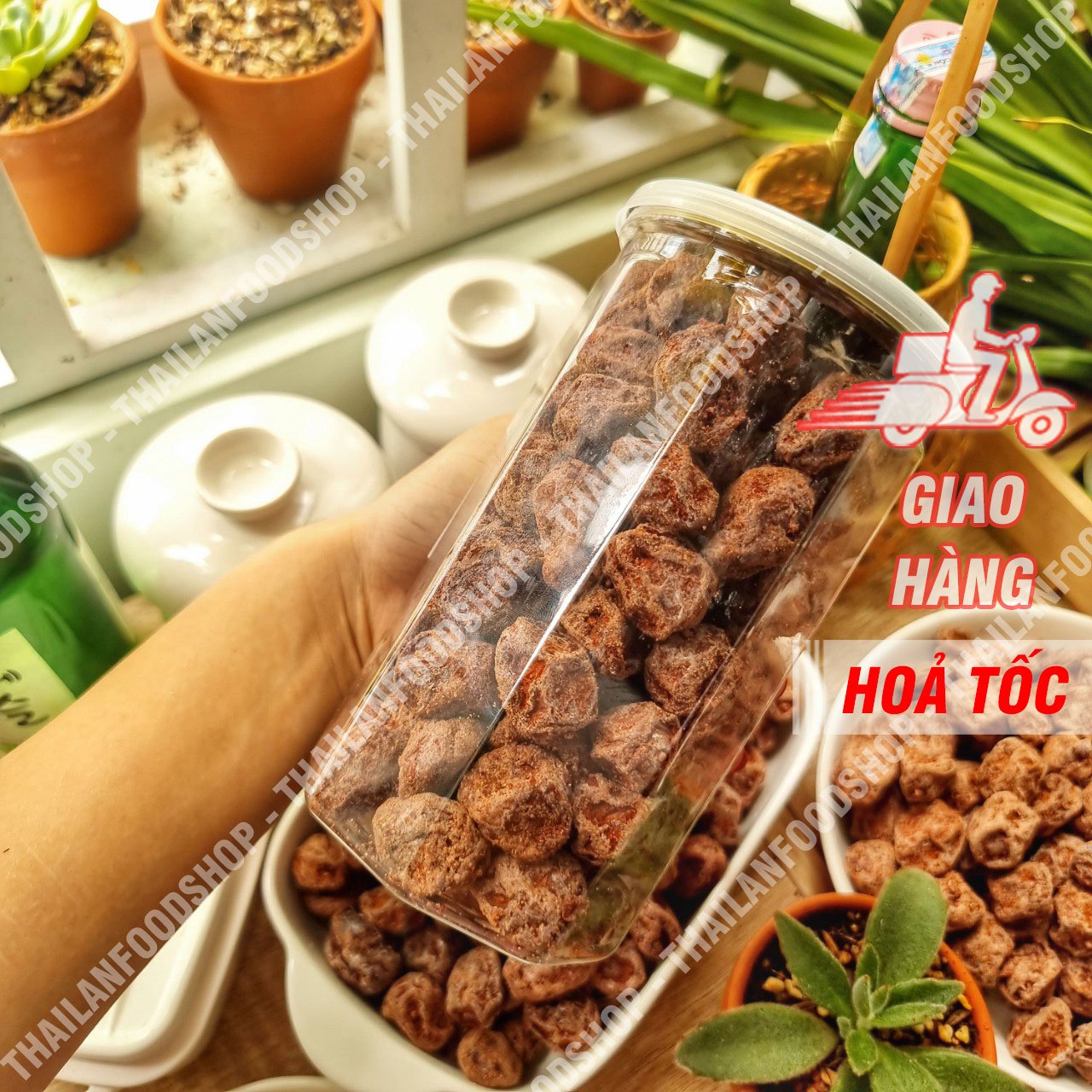 Xí Muội Thái (Ô Mai Thái) - Lon 500gr