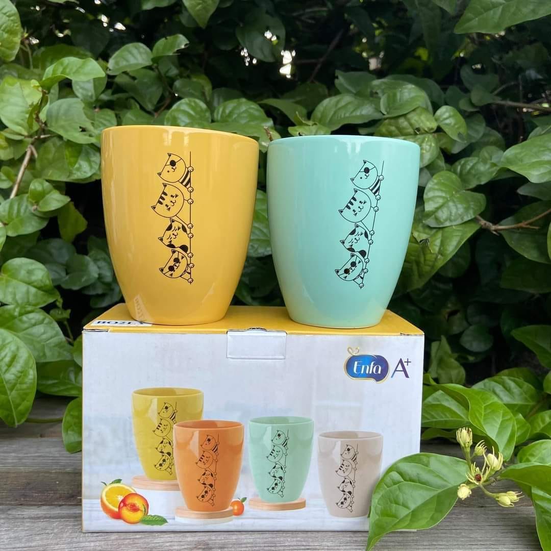 [HCM]Bộ 2 ly sứ Dong hwa quà enfa