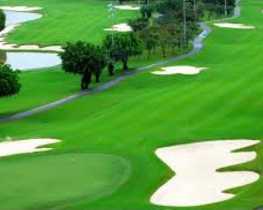 Hạt giống Cỏ trồng thảm Bermuda