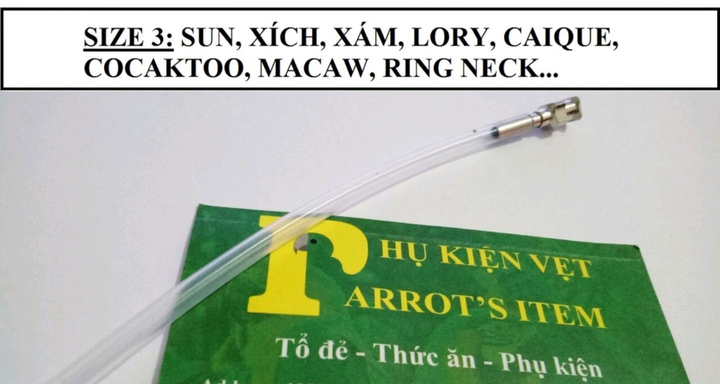 [HCM]ỐNG ĐÚT CHO VẸT NON