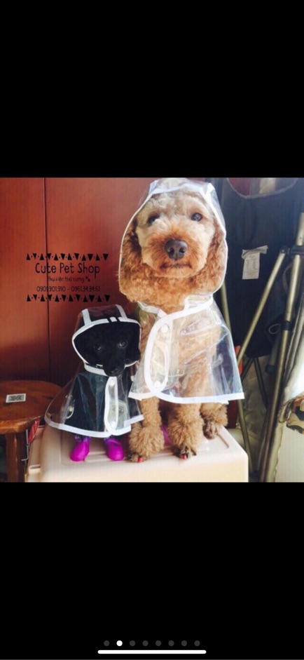 Áo mưa trong suốt cho cún mèo🐶😻