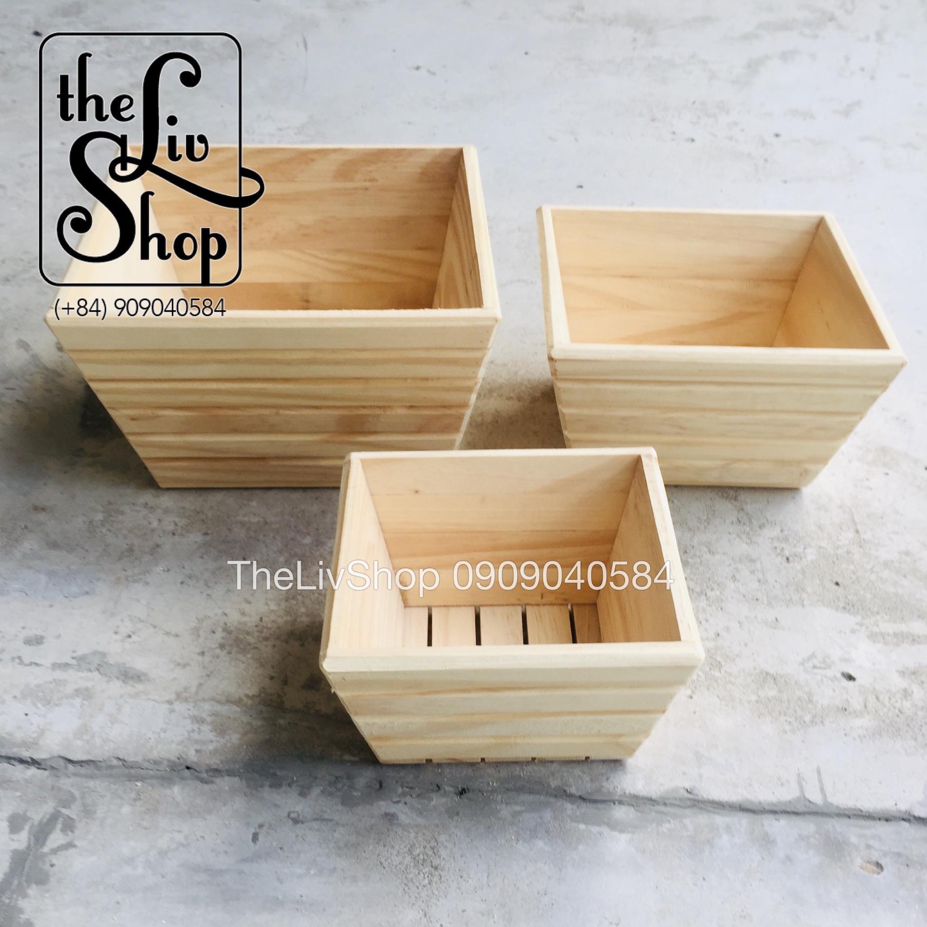 Chậu Cây Bằng Gỗ Thông 3 Sizes