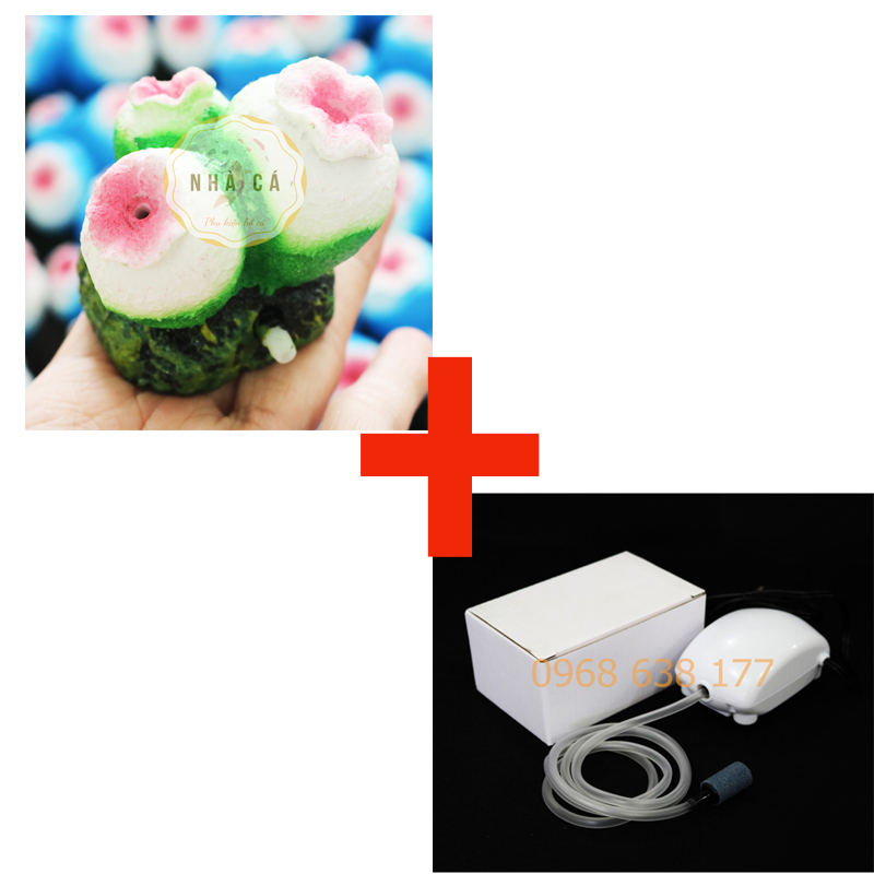 SỦI OXY HÌNH DÁNG BONG BÓNG SAN HÔ - TRANG TRÍ TIỂU CẢNH HỒ CÁ - SỦI TRANG TRÍ BỂ CÁ