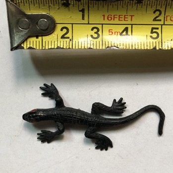 (6x2.5CM) Con Gián Giả Đồ Chơi Cho Chó Mèo, Chơi Khăm Mô Hình Trùng Trang Trí Halloween