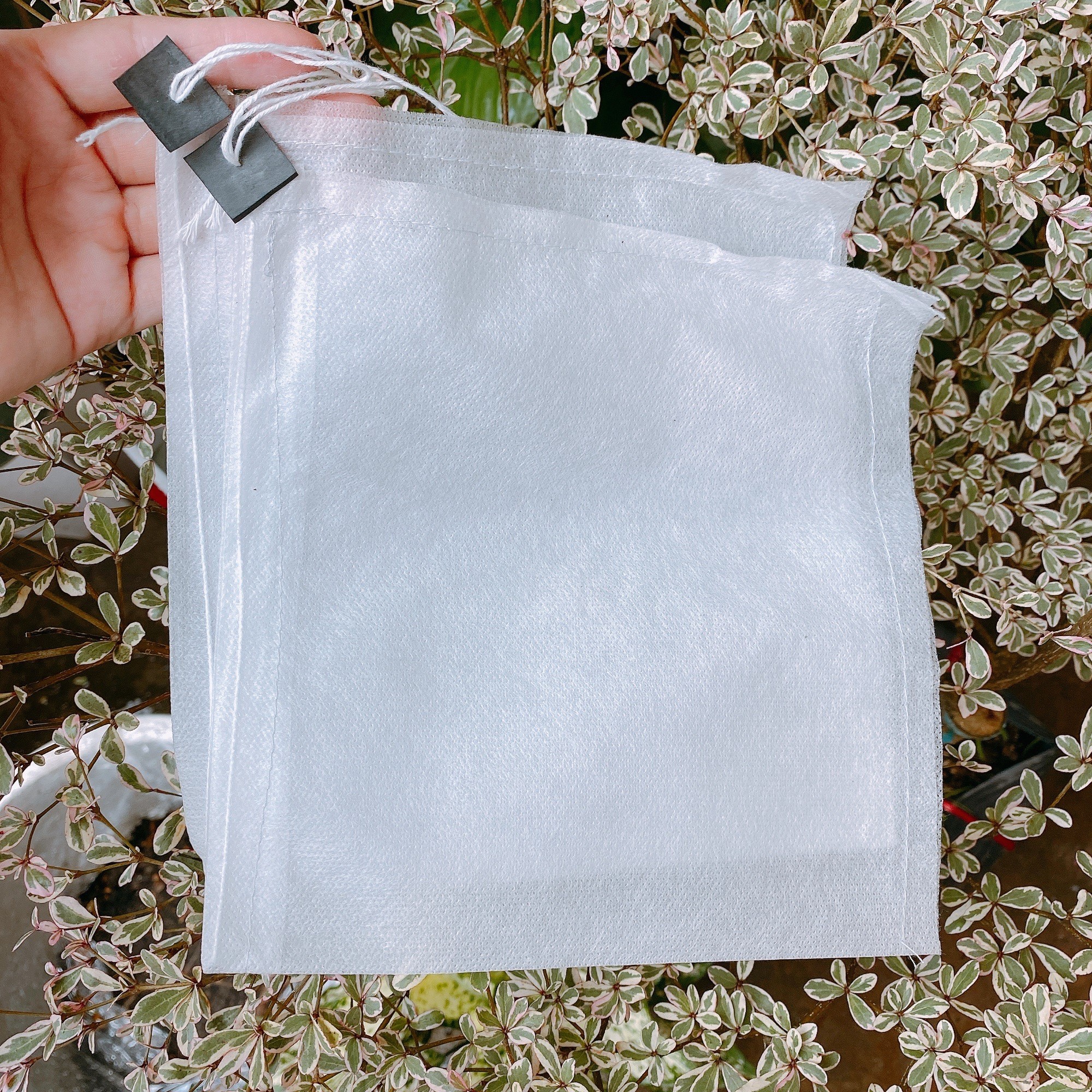 Túi bao bọc trái xoài,Nho,Thanh Long,Nhãn kích thước 22x30cm.