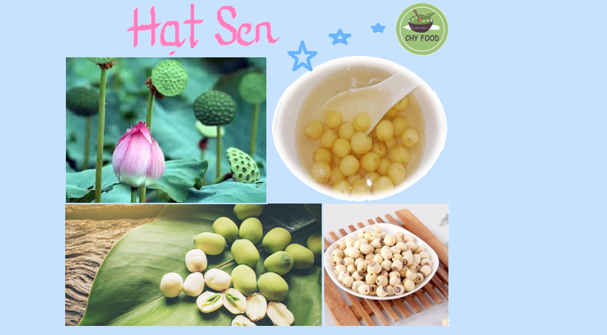 HẠT SEN HUẾ KHÔ LOẠI 1 - 100 GRAM