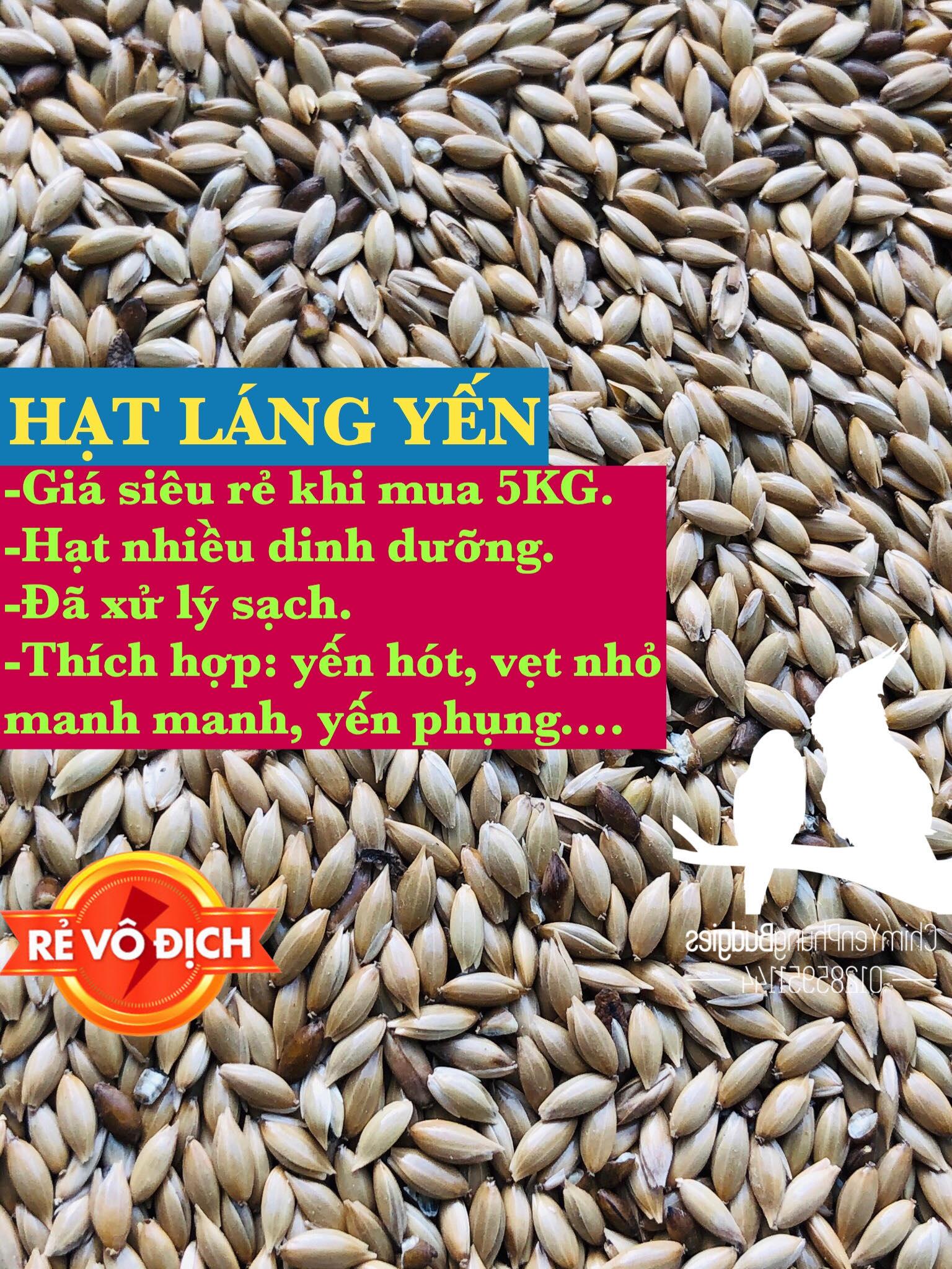 5kg hạt láng cho Yến Hót, Chim Cảnh.