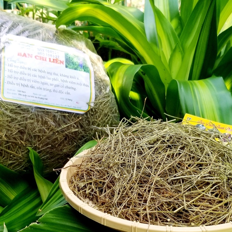 Bán chi liên khô