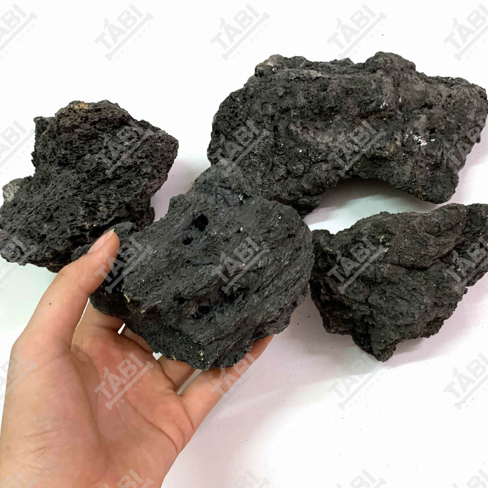 1KG Đá Đen Phan Thiết Setup Hồ Cá - Đá Đen Phan Thiết Trang Trí Bể Cá