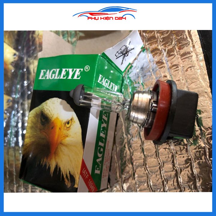 Bóng đèn gầm ô tô H11 12V 55W con cú Halogen