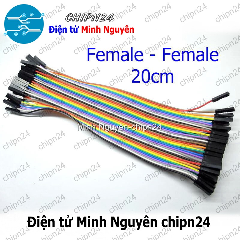[20 sợi] (P70) Dây Cắm Test Board 20cm Cái-Cái - HH000206