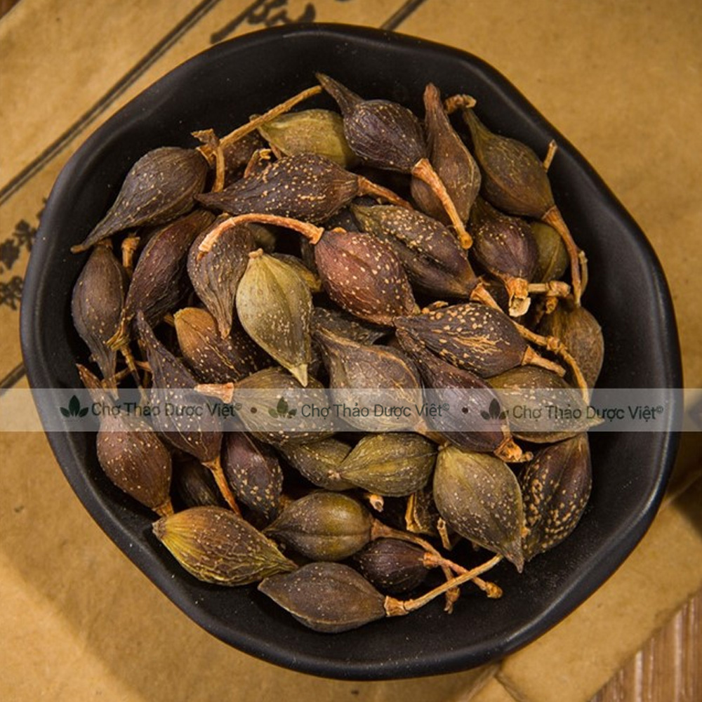 Liên kiều 300g, quả liên kiều, hạ liên tử, khô, thơm, sạch - Chợ Thảo Dược Việt