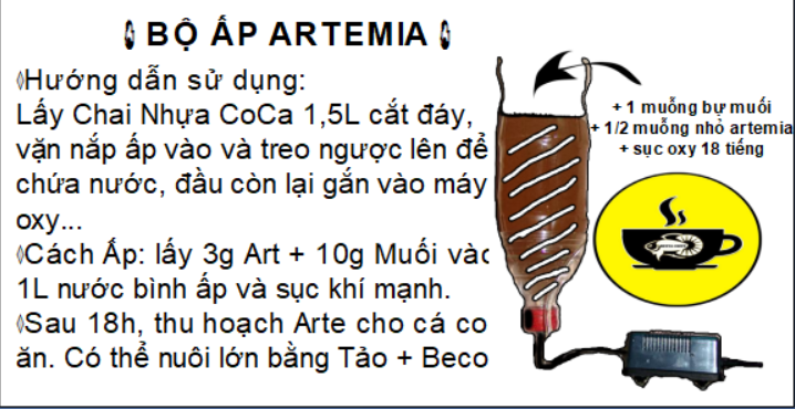 Nắp Ấp Artemia