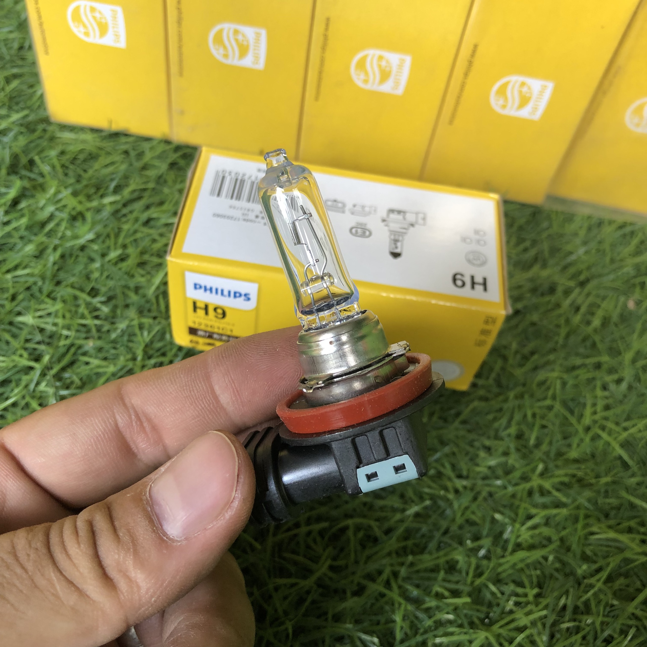 BÓNG ĐÈN Ô TÔ CHÂN H9 12V PHILIPS