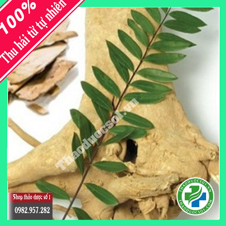[KHUYẾN MÃI] 1kg rể cây mật nhân -TDSO1
