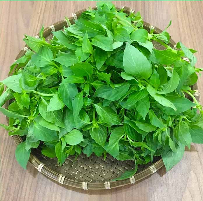 Hạt giống rau thơm Sả (Húng trắng, É trắng) 2 gram