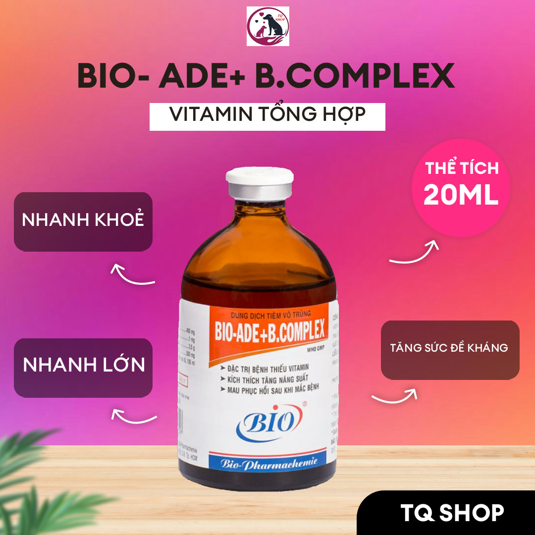 [HCM]Đặc trị chó mèo gà đá viêm đường hô hấp khò khè CRD