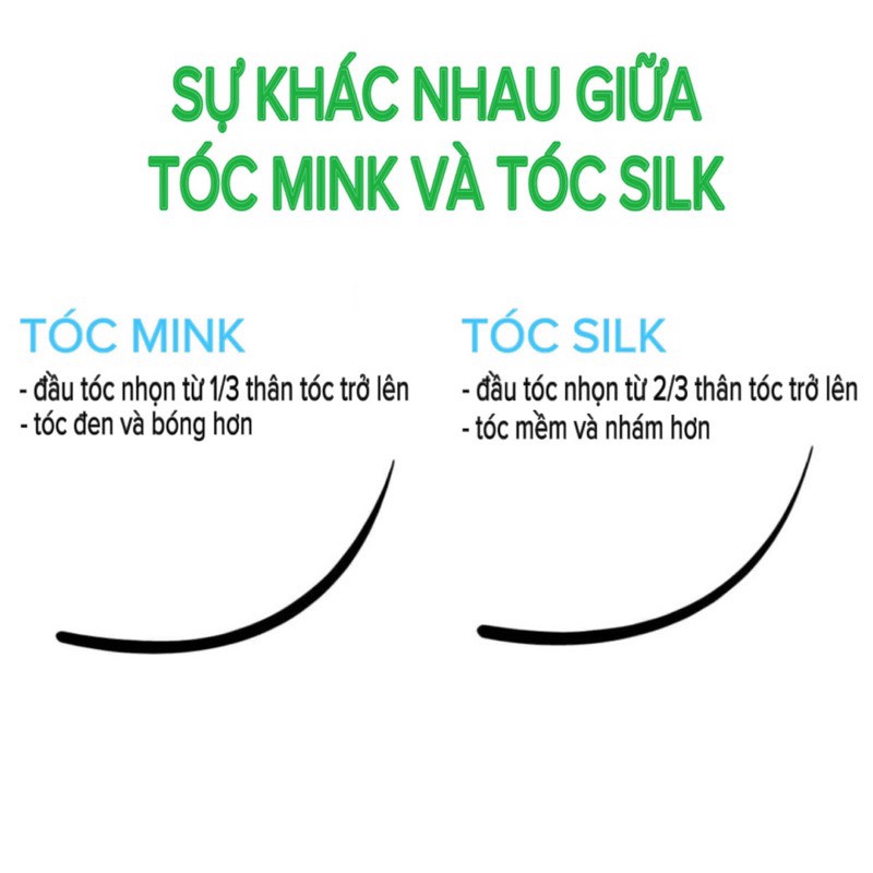 Mi khay SEDUIRE độ cong C (12 hàng) tóc Silk