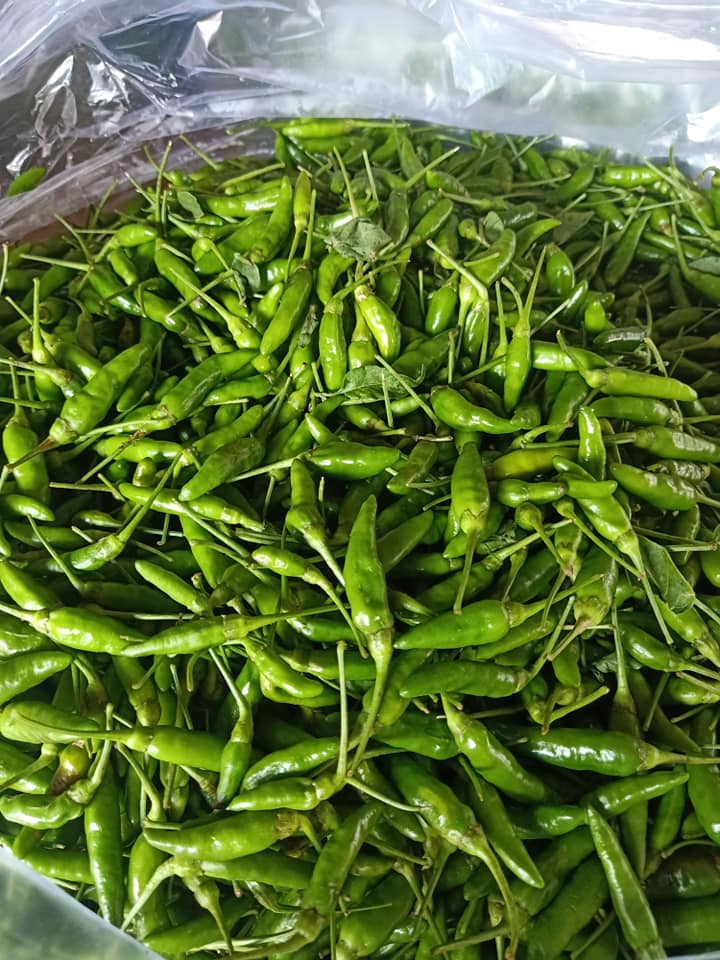 Ớt xiêm xanh tươi 100g