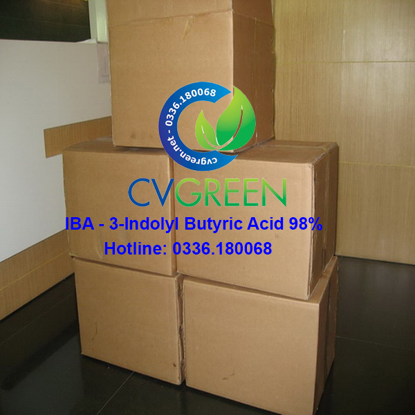 [HCM]Siêu ra rễ IBA 98% (kích rễ kích chồi không tan trong nước) gói 50g