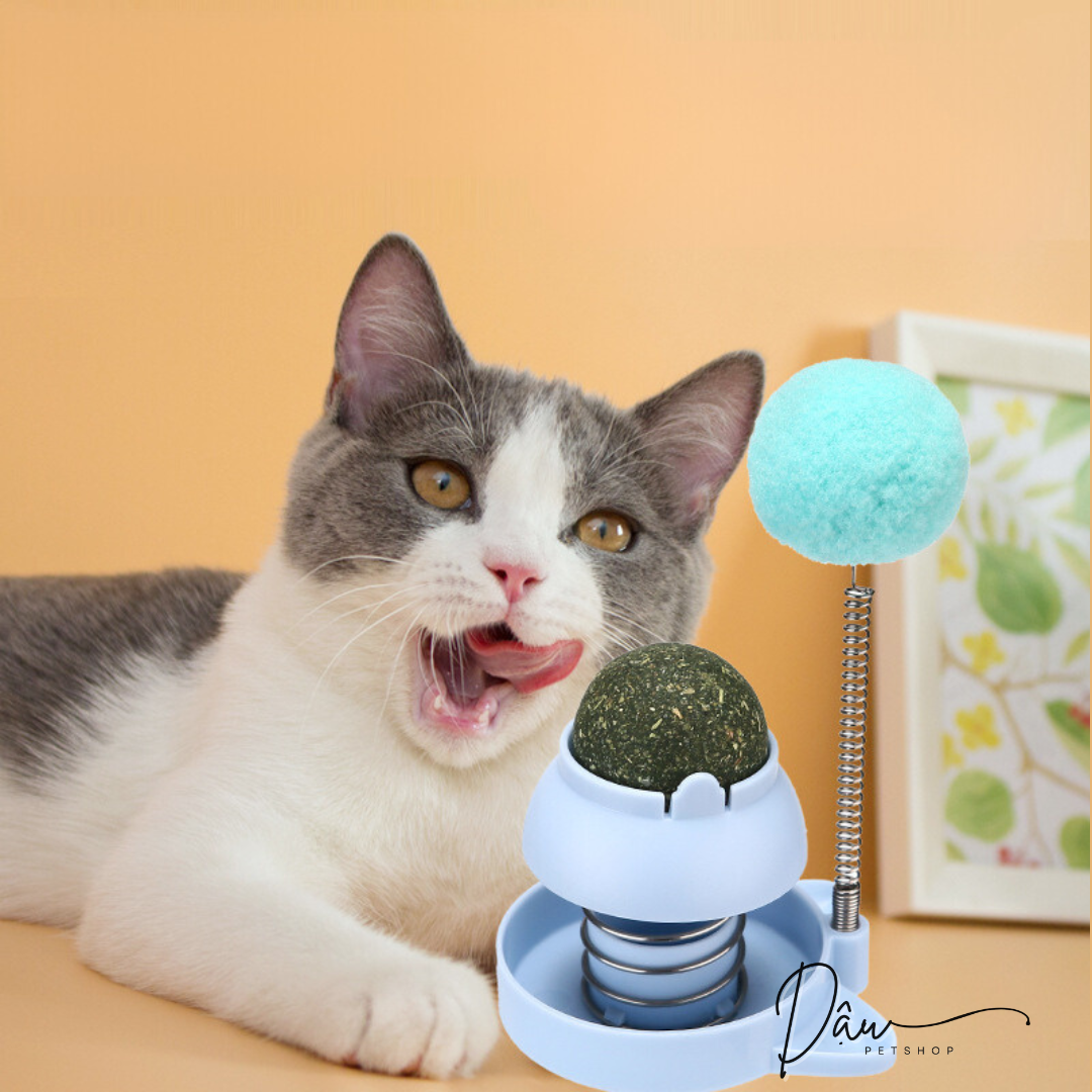 Catnip dán tường - Cỏ bạc hà cho mèo