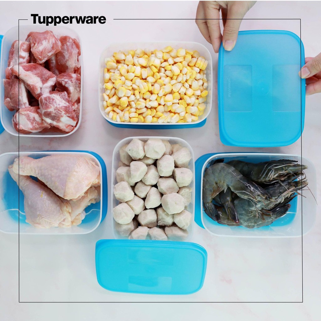 Bộ Hộp Tupperware Trữ Đông Freezermate 650ml (6 Hộp)