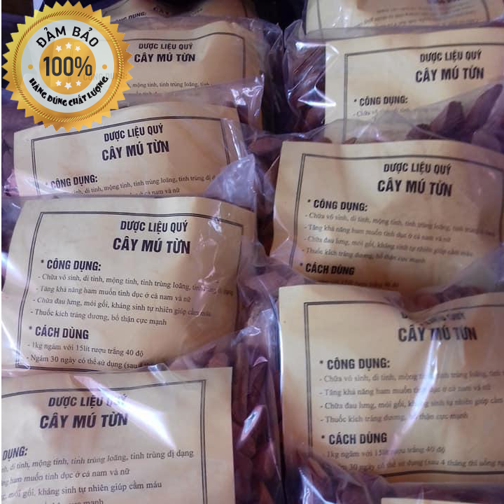 [HCM]Cây Mú Từn - Thân chọn cao cấp (1kg)