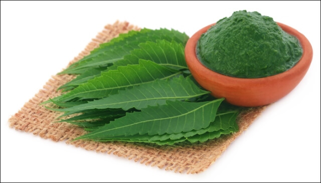 Bột Neem Ấn Độ thần thánh gói 110g GT064