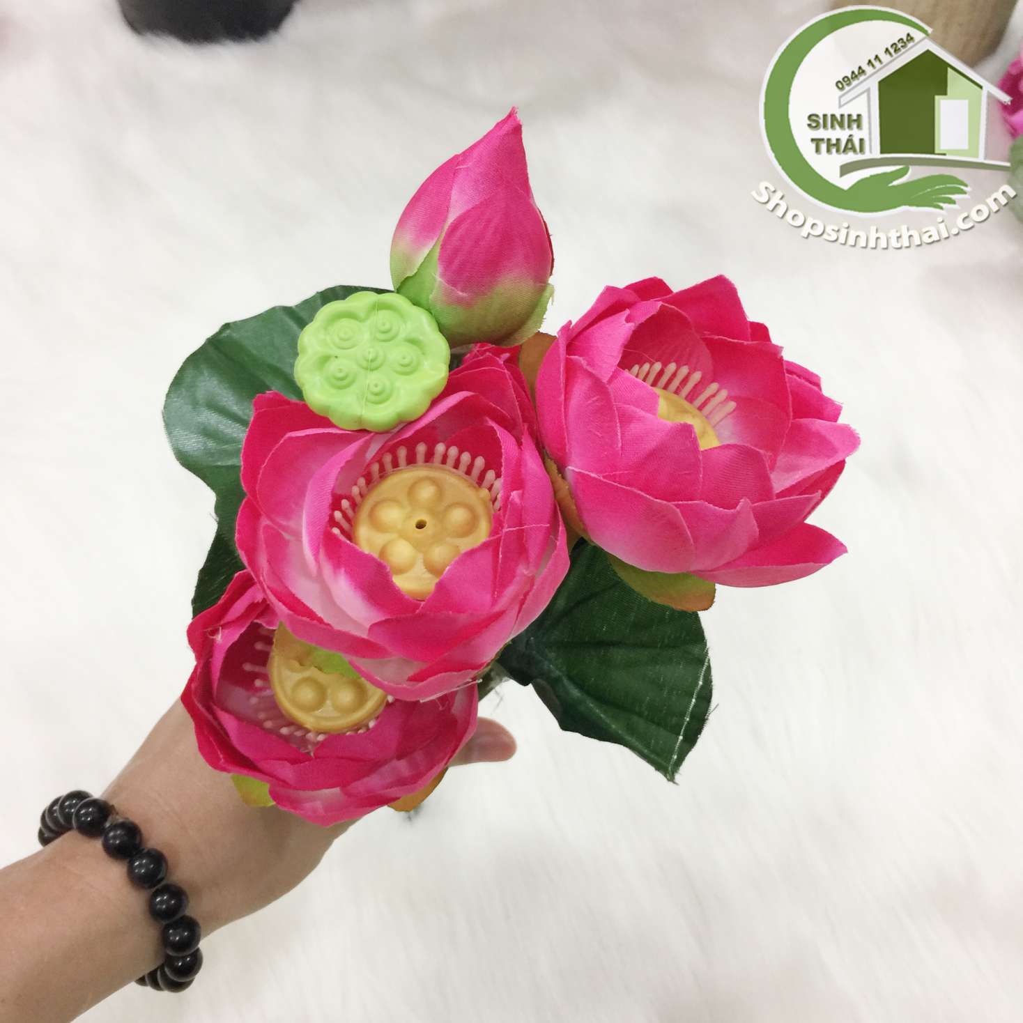 [HCM]Hoa Sen Giả - bụi sen nhỏ