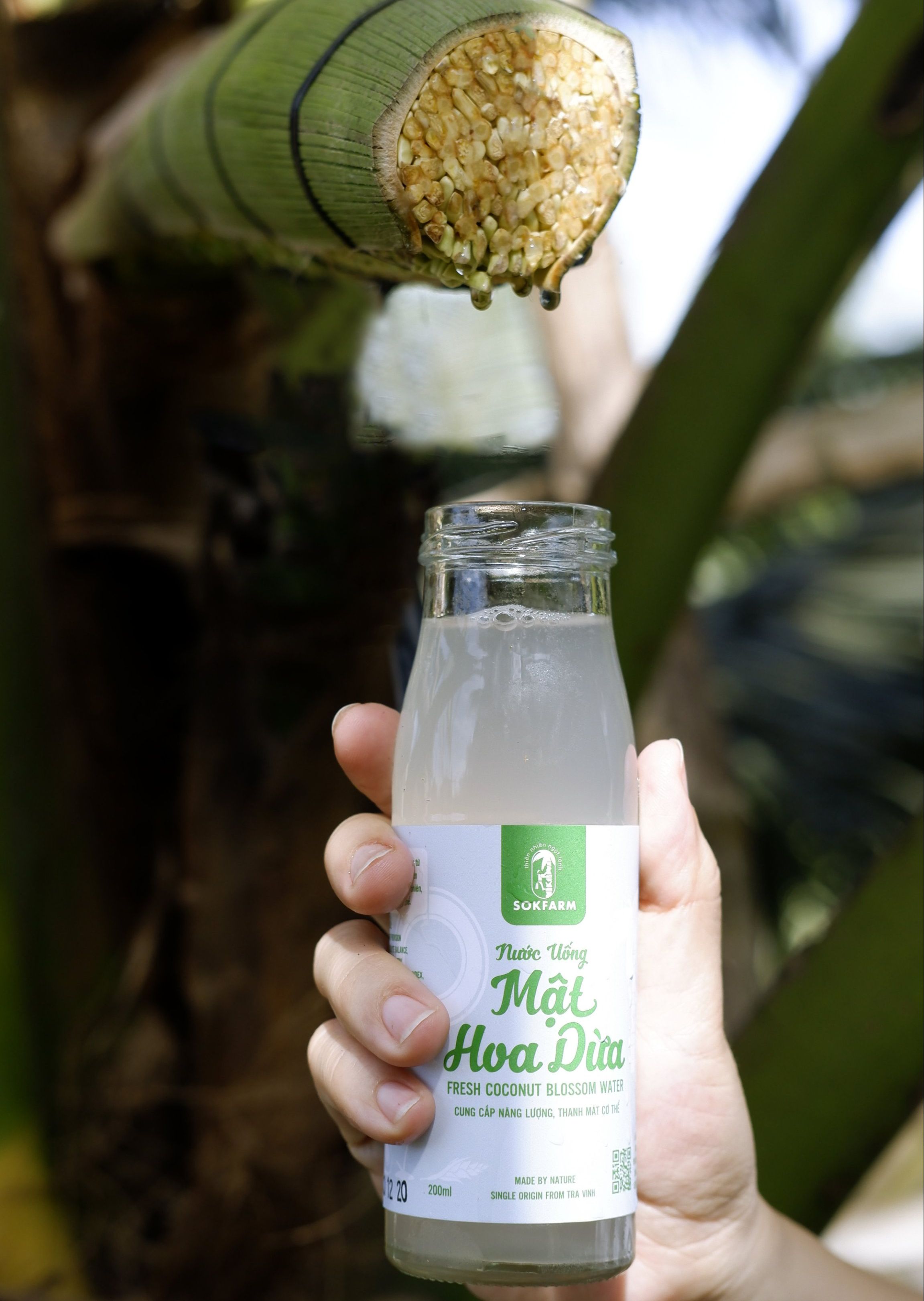 Nước Uống Mật Hoa Dừa 200ml