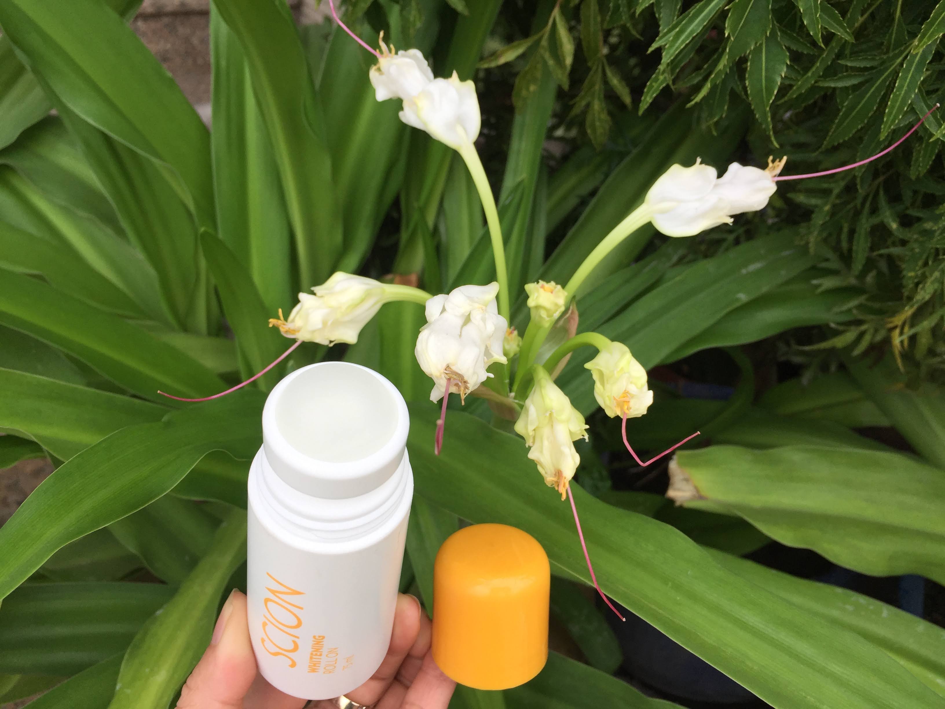 Lăn nách khử mùi Sción 75 ml