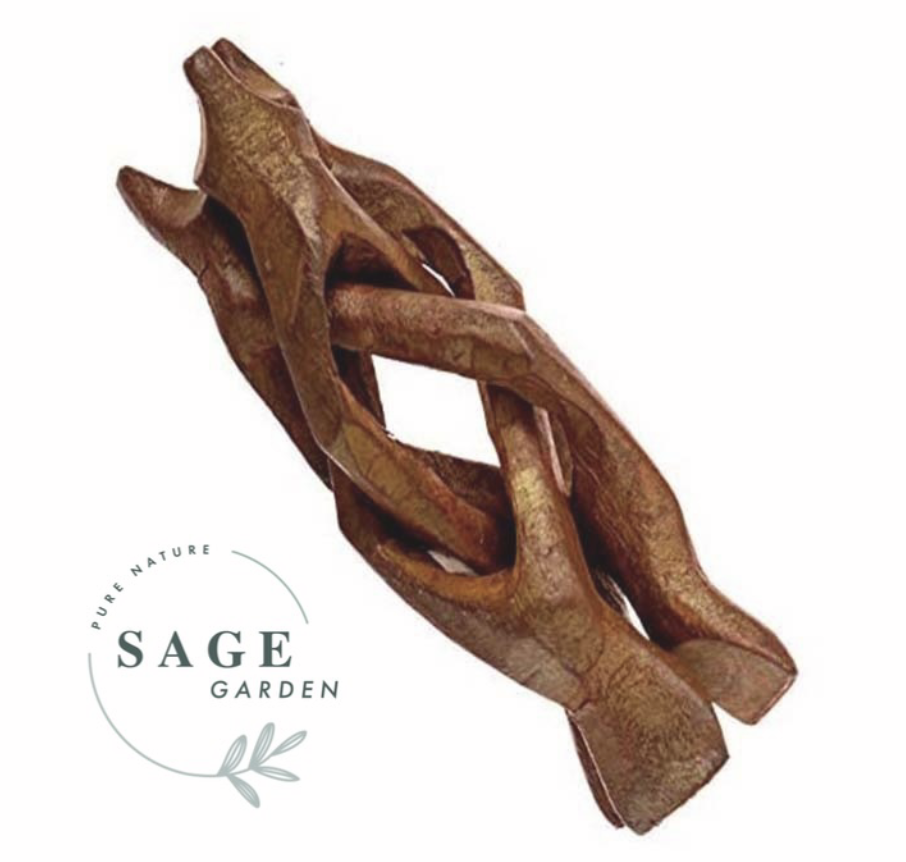 SET TIỆN ÍCH size L (1 Ốc Rainbow L và 1 Đế Gỗ L) SAGE GARDEN