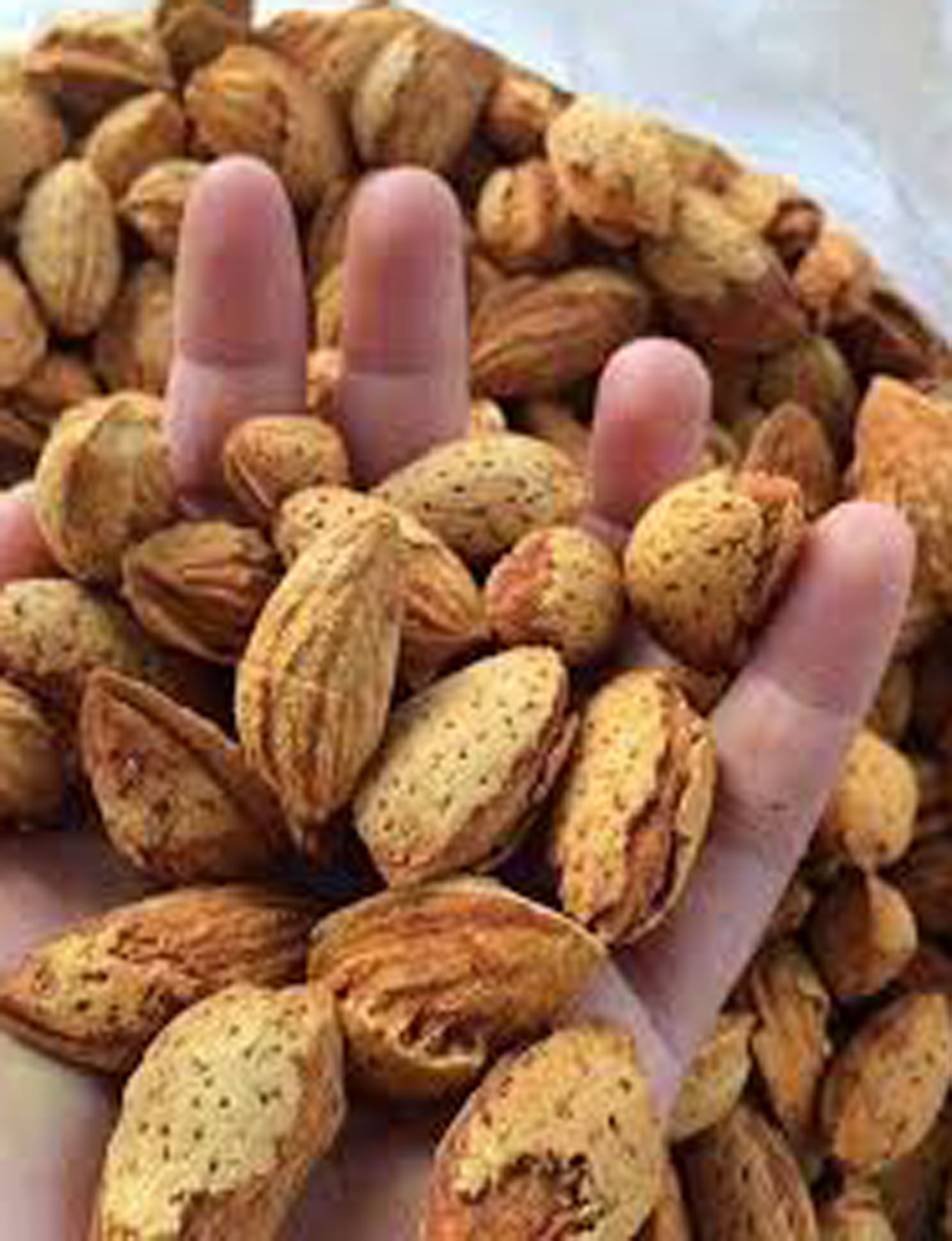 Hạt hạnh nhân vỏ mỏng rang bơ 500g loại 1