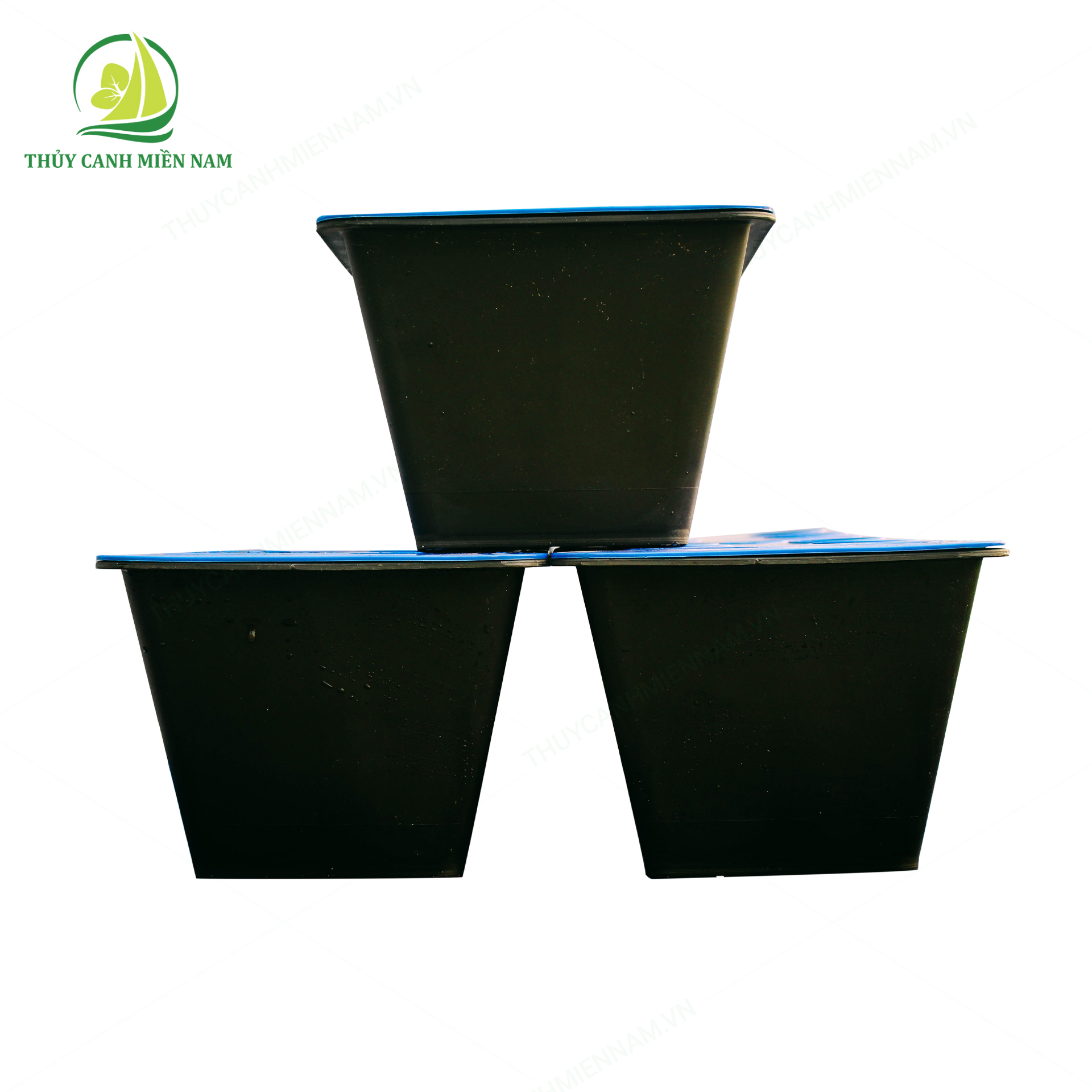 Combo 10 thùng tĩnh trồng thủy canh rau ăn lá