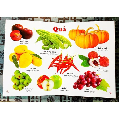 Từ Điển bằng tranh Rau Củ Quả