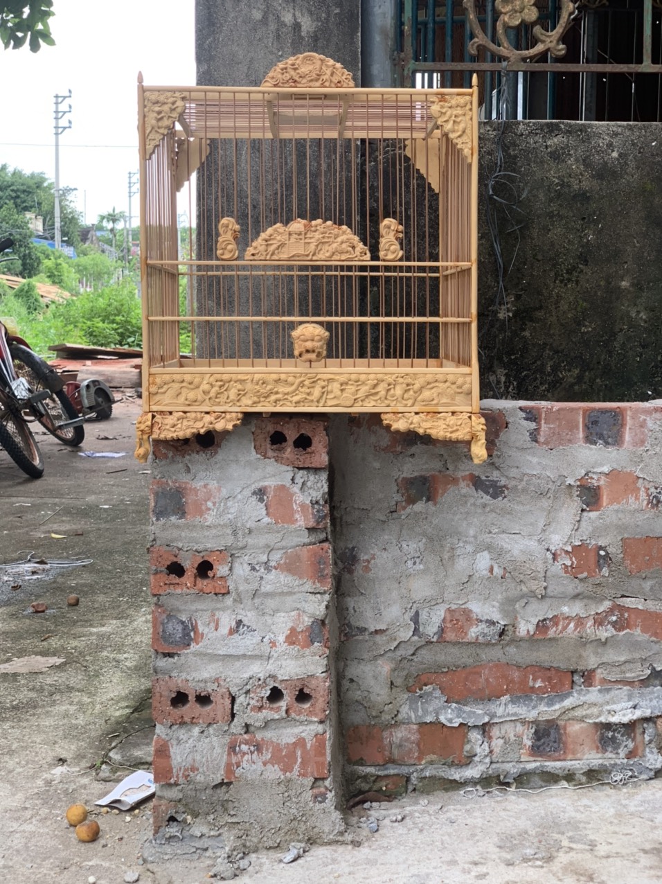 khung lồng chim chào mào