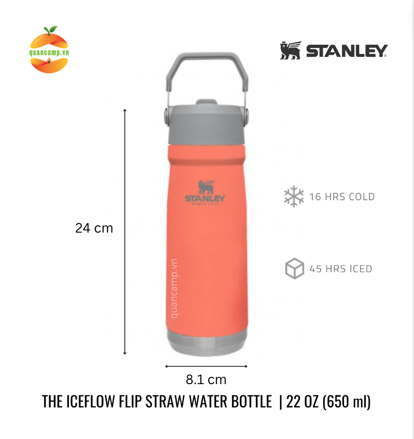 Bình giữ nhiệt Stanley Flip Straw Water Bottle 650ml (22oz)