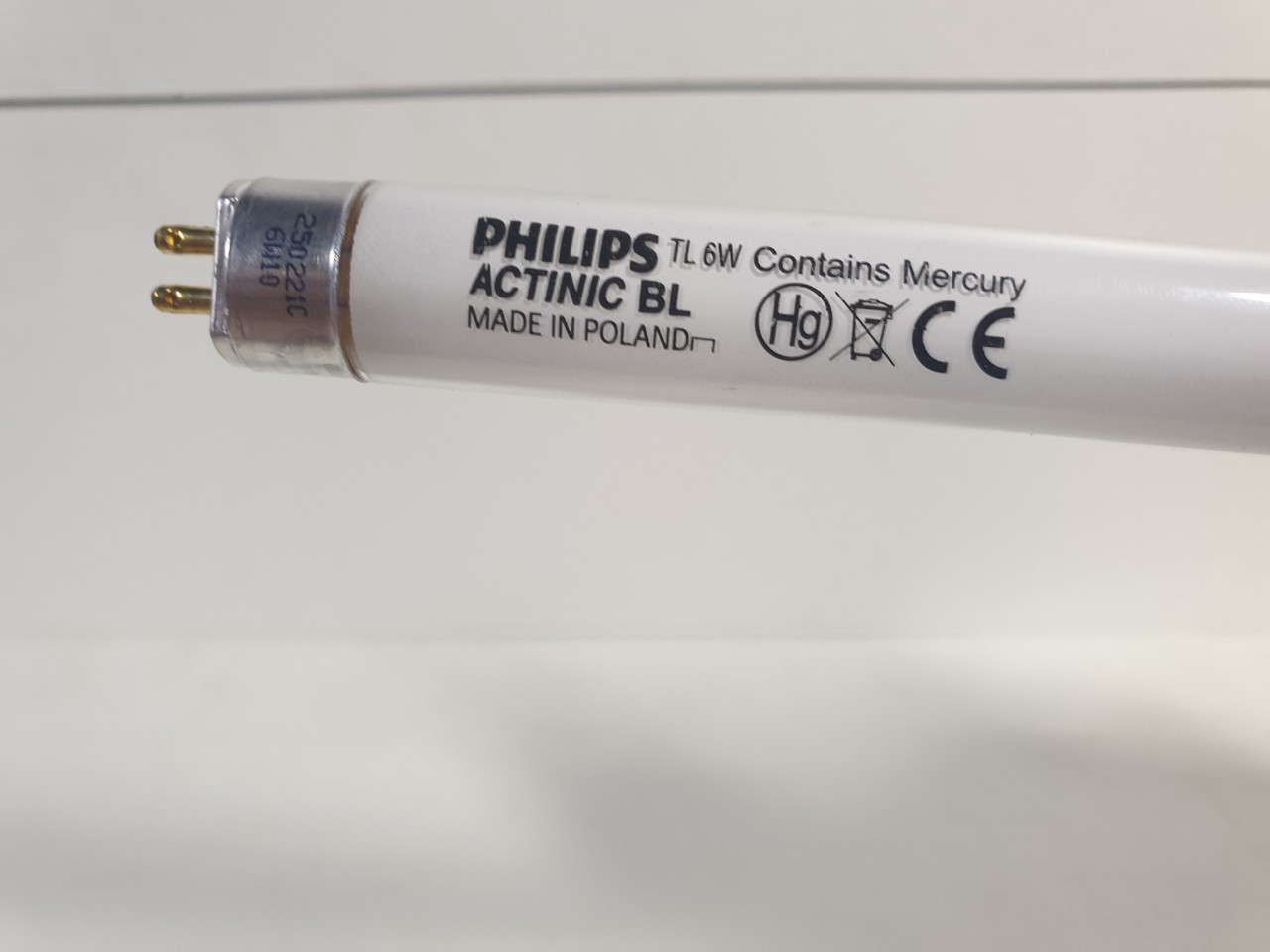 Bóng đèn muỗi Philips TL 6w chính hãng (thay thế cho đèn diệt muỗi Đại Sinh DS-D6)