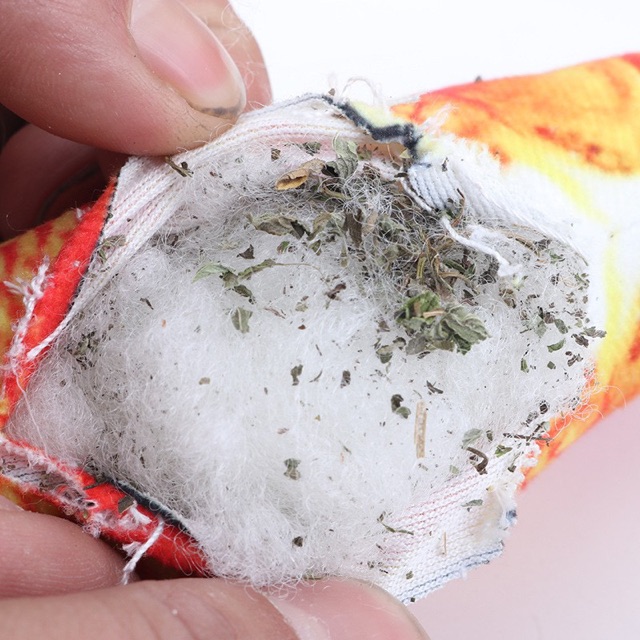 Cá Nhồi Bông Catnip Đồ Chơi Cho Mèo
