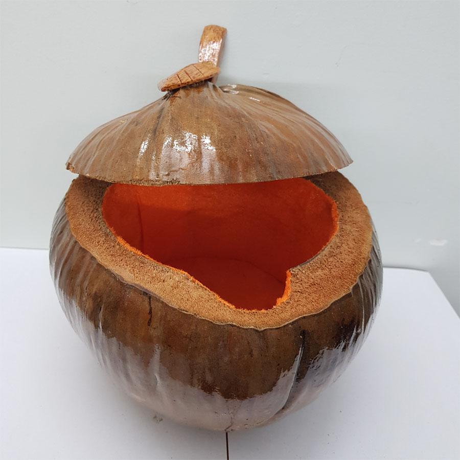 Vỏ đựng bình trà trái dừa ( nắp chiếc lá)