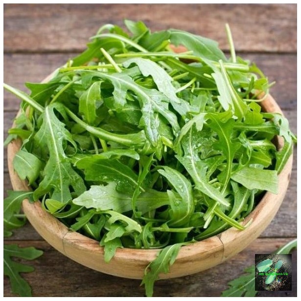 Hạt giống Rau thơm Wild Rocket, đóng gói 1gr