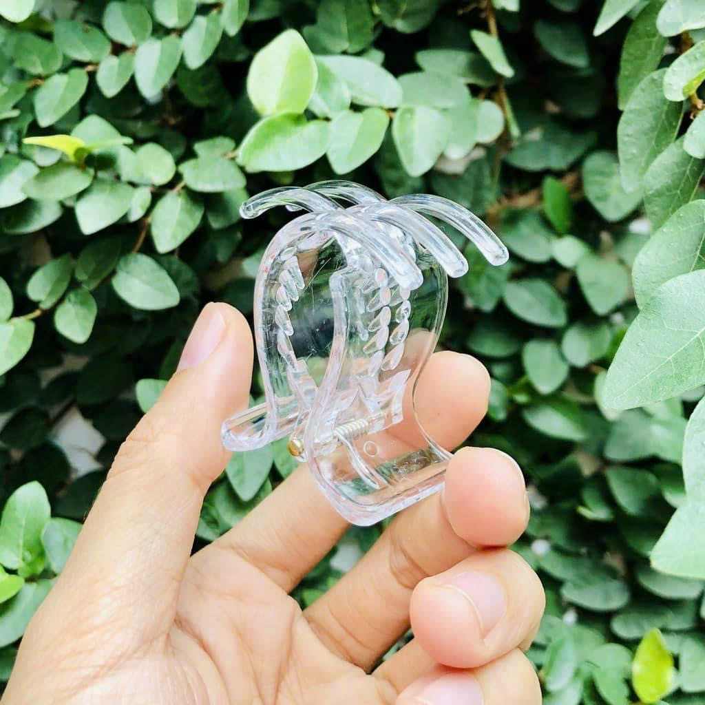 Cặp tóc càng cua 5 răng trong suốt, màu nhựa trong vắt, cào dày dặn không gãy (Lốc 12 chiếc) - Rẻ sập sàn Lazada - Phụ kiện tóc nữ Hàn quốc giá rẻ