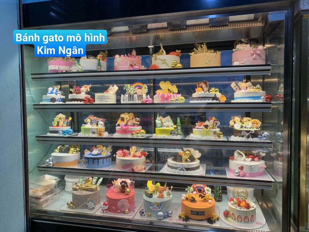Gato - bánh sinh nhật-1T22